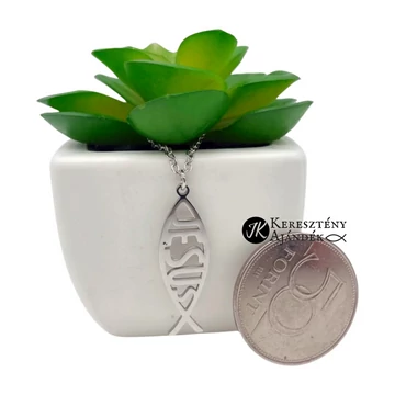 Nemesacél, Jesus, ichthys ( halas ) medálos, keresztény, nyaklánc, nőknek, férfiaknak