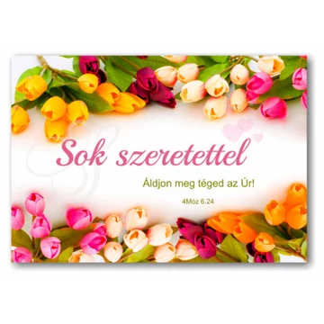 Sok szeretettel Áldjon meg téged az Úr!- igés ajándékkísérő igekártya ( karton )
