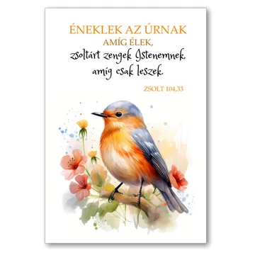 Éneklek az Úrnak, amíg élek, zsoltárt zengek Istenemnek, amíg csak  leszek. Zsolt. 104,33 ( madaras )