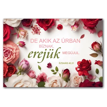De akik az Úrban bíznak, erejük megújul. Ézs 40,31 - igés ajándékkísérő kártya, igéskártya