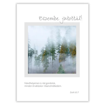 Eszembe jutottál! Fekvőhelyemen is rád gondolok, minden őrváltáskor rólad elmélkedem. Zsolt. 63,7 - igés képeslap, keresztény feliratos, borítékos 