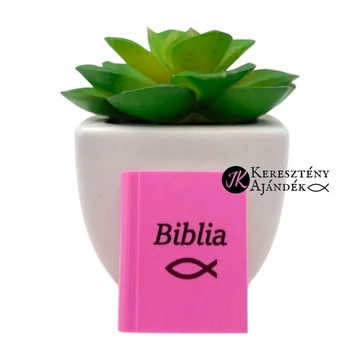 Biblia / Ichthys - igés radír kisgyermekek számára (biblia formájú) TÖBB SZÍNBEN