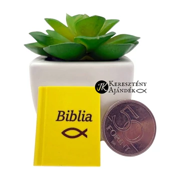 Biblia / Ichthys - igés radír kisgyermekek számára (biblia formájú)