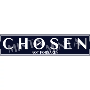 Chosen - not forsaken - igés, mintás, keresztény feliratos, kereknyakú női póló, SÖTÉTKÉK színben XS - 2XL méretben ( XS )