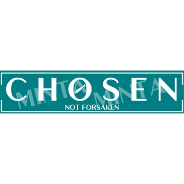 Chosen - not forsaken - igés, mintás, keresztény feliratos, kereknyakú női póló, TÜRKIZ színben XS - 2XL méretben ( XS )