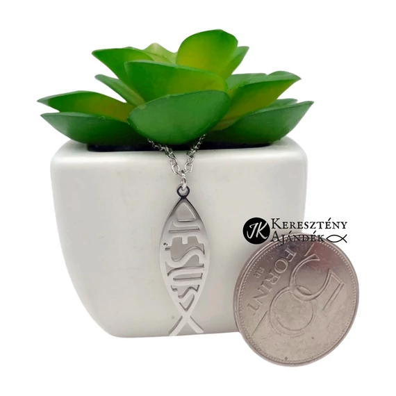 Nemesacél, Jesus, ichthys ( halas ) medálos, keresztény, nyaklánc, nőknek, férfiaknak