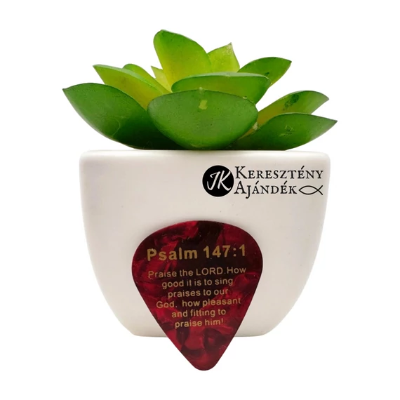Pick Jesus: Praise the Lord. How good it is to sing praises to our God. How pleasant and fitting to praise him! / Dicsérjétek az Urat! - celluloid gitárpengető a Zsolt. 147:1 igeverssel BORDÓ