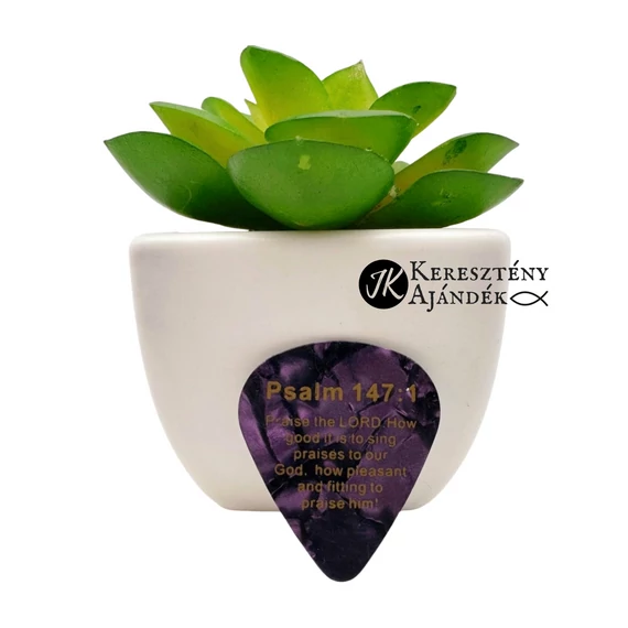 Pick Jesus: Praise the Lord. How good it is to sing praises to our God. How pleasant and fitting to praise him! / Dicsérjétek az Urat! - celluloid gitárpengető a Zsolt. 147:1 igeverssel LILA