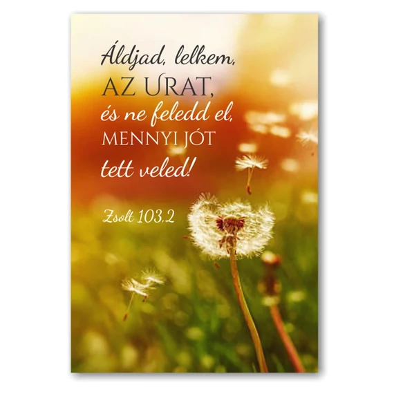 Áldjad lelkem, az Urat, és ne feledd el, mennyi jót tett veled! Zsolt 103,2 - 