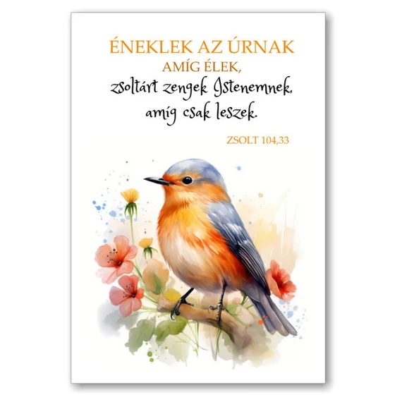 Éneklek az Úrnak, amíg élek, zsoltárt zengek Istenemnek, amíg csak  leszek. Zsolt. 104,33 ( madaras )