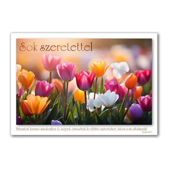 Sok szeretettel! Bízzatok benne mindenkor, ti, népek, öntsétek ki előtte szíveteket, Isten a mi oltalmunk! Zsolt. 62,9- igés képeslap, keresztény feliratos, boríték nélkül