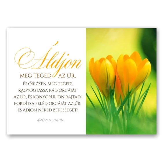Ároni áldás: Áldjon meg téged az Úr, és őrizzen meg téged! 4Móz 6,24 - igés, keresztény feliratos, boríték nélküli képeslap ( krókusz )