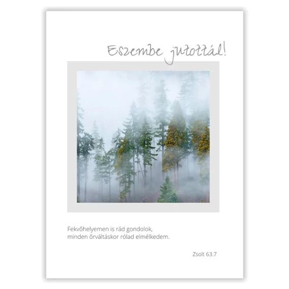Eszembe jutottál! Fekvőhelyemen is rád gondolok, minden őrváltáskor rólad elmélkedem. Zsolt. 63,7 - igés képeslap, keresztény feliratos, borítékos 