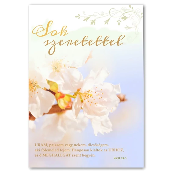 Sok szeretettel! Uram, pajzsom vagy nekem, dicsőségem, aki fölemeled fejem. - borítékos, képeslap, igés, keresztény