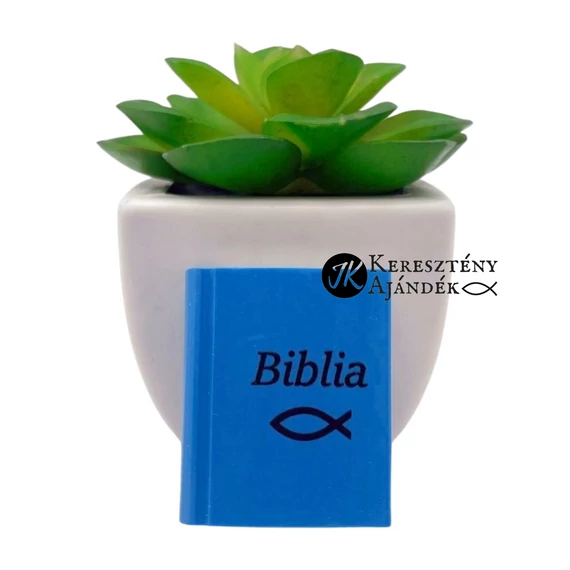 Biblia / Ichthys - igés radír kisgyermekek számára (biblia formájú)