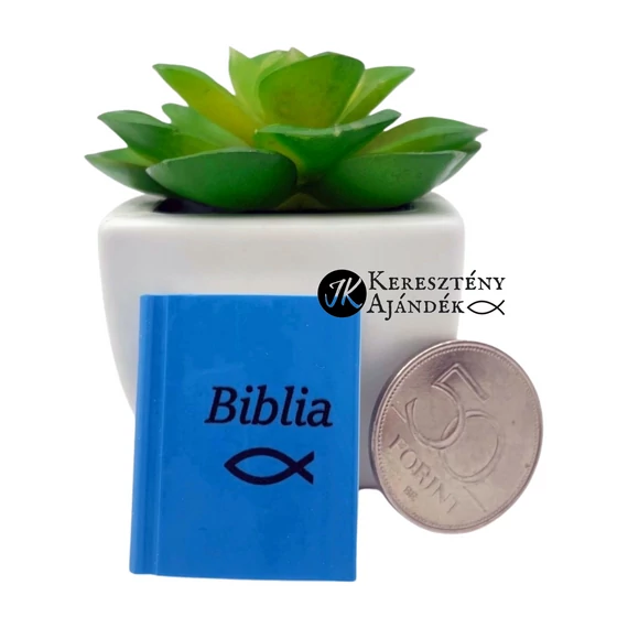 Biblia / Ichthys - igés radír kisgyermekek számára (biblia formájú)
