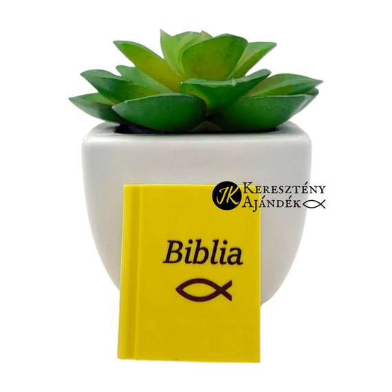 Biblia / Ichthys - igés radír kisgyermekek számára (biblia formájú)