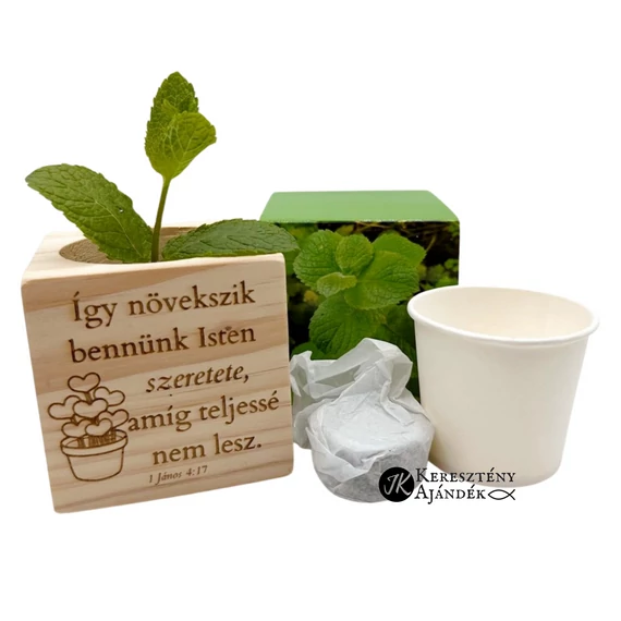 Így növekszik bennünk Isten szeretete - igés, keresztény feliratos, natúr, fakocka, MENTA FŰSZERNÖVÉNY magocskákkal és ültetőközeggel