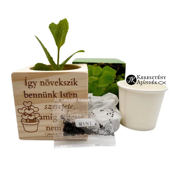 Így növekszik bennünk Isten szeretete - igés, keresztény feliratos, natúr, fakocka, MENTA FŰSZERNÖVÉNY magocskákkal és ültetőközeggel
