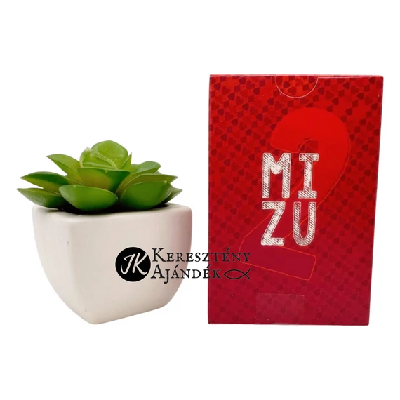 Mizu 2 - Ifjúságépítő, beszélgetés indító kártyajáték + videós bemutató