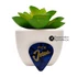 Pick Jesus: Praise the Lord. How good it is to sing praises to our God. How pleasant and fitting to praise him! / Dicsérjétek az Urat! - celluloid gitárpengető a Zsolt. 147:1 igeverssel SÖTÉTKÉK
