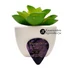 Pick Jesus: Praise the Lord. How good it is to sing praises to our God. How pleasant and fitting to praise him! / Dicsérjétek az Urat! - celluloid gitárpengető a Zsolt. 147:1 igeverssel LILA