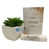 Áldás - ÁLDÁS - hidratáló ajakápoló - keresztény feliratos, kézműves termék, 6 ml
